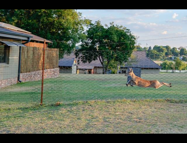 20,200M² FARM FOR SALE IN KAALPLAATS